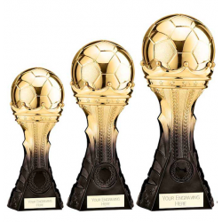 Dearne & District FC King Football Trophy Gold