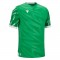 Themis Eco Shirt